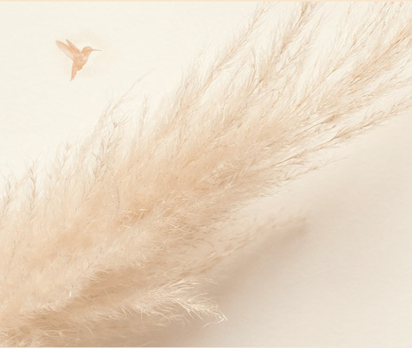 Hypnothérapie et bien-être à Hem - Cabinet Stéphanie Levasseur